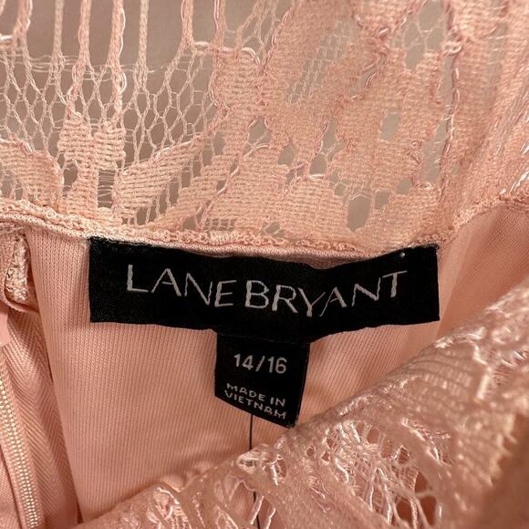 LANE BRYANT NWT size 14/16 pink Blush Embroidered Dot Mesh Swing Dress Beautiful - Picture 12 of 15